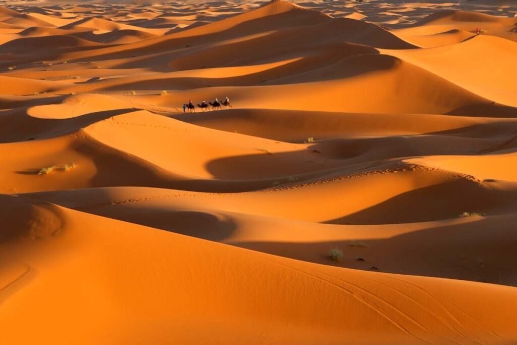 Read more about the article How to Get from Marrakech to Merzouga?