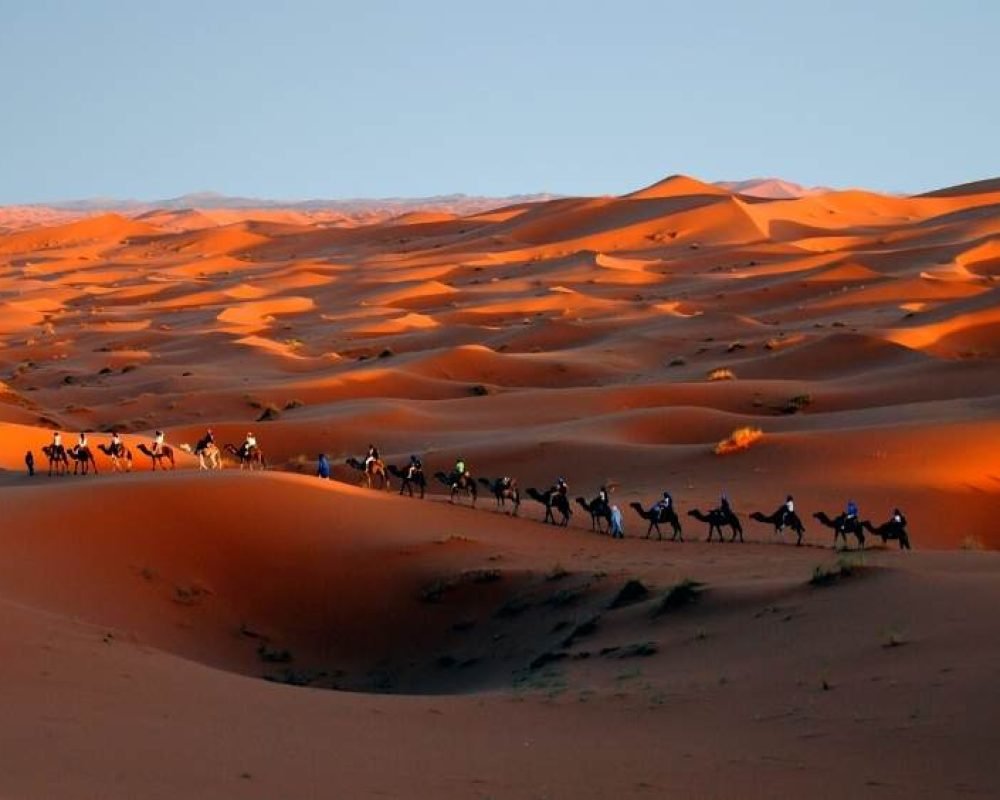 merzouga desert tours