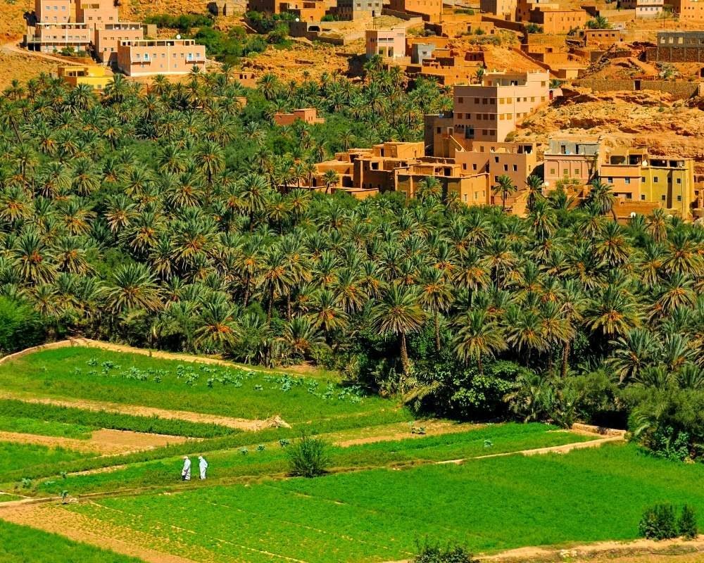 3 days fes to marrakech desert tour