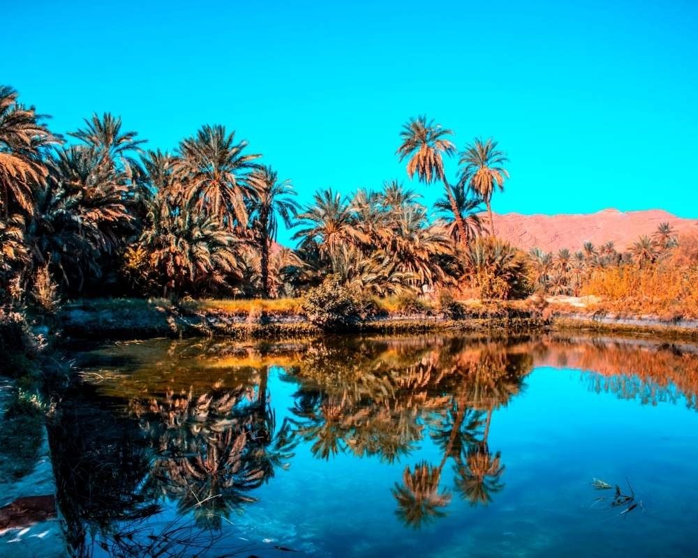 6 days Agadir to Tafraout and Erg Chigaga desert tour