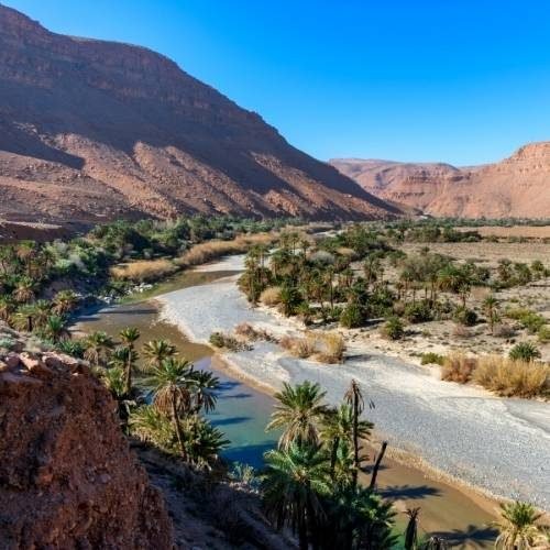 10 days desert tour from casablanca